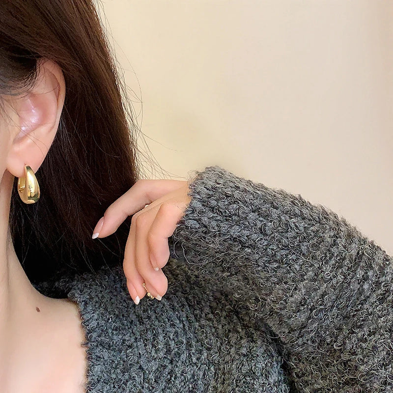 Punk Oval Hoop Earrings Metallic Geometric Ear Buckle Minimalist Style U-shaped Ear Buckle Daily Life Earring Accessories - Oria Jewel