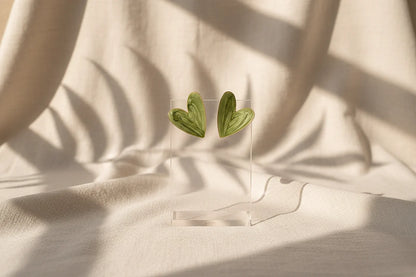 Sage Green Marble Heart Stud Earrings on clear stand with soft fabric shadows | OriaJewel